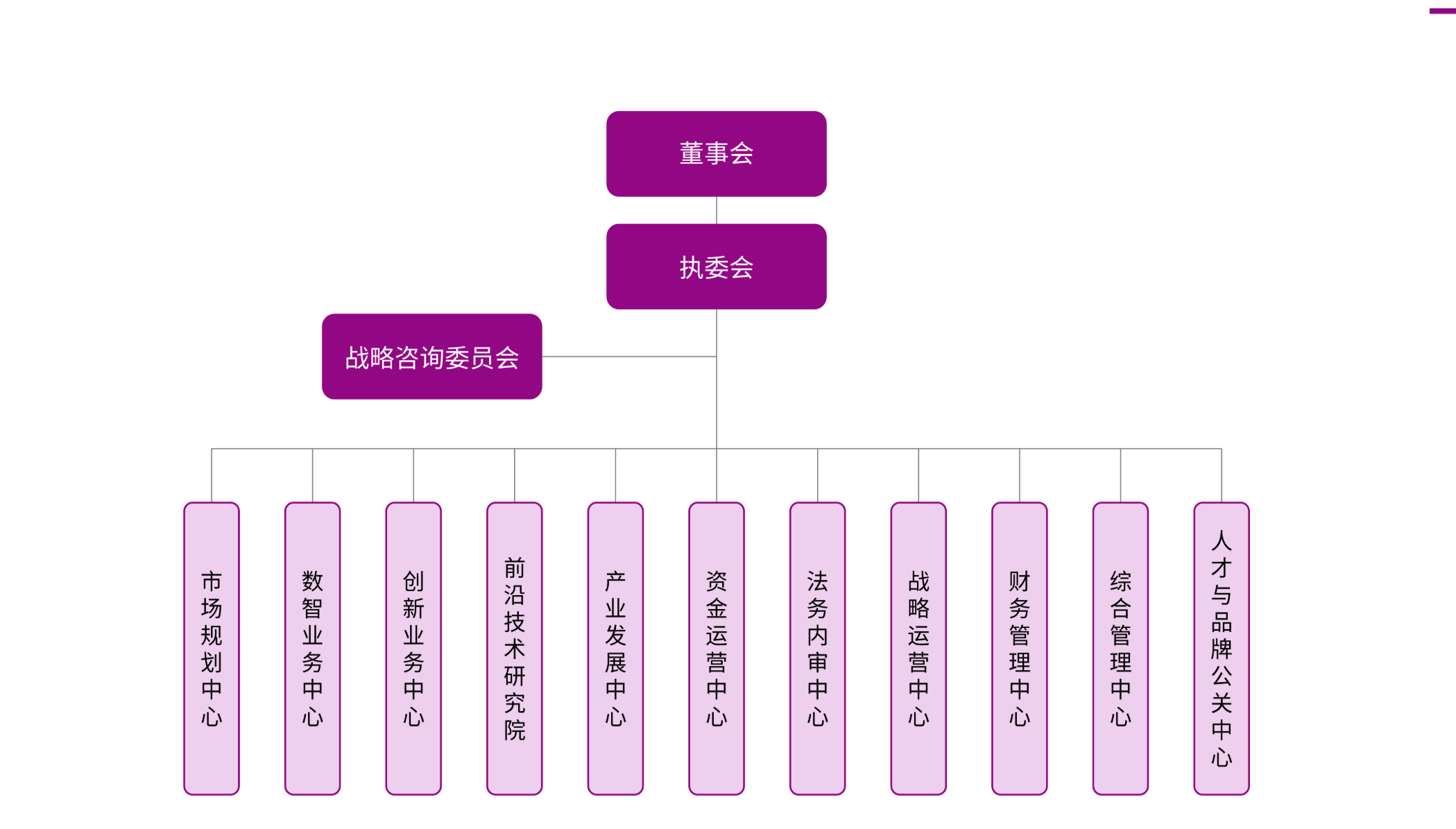 新紫光集团组织架构：董事会、执委会、战略咨询委员会及集团总部各职能部门